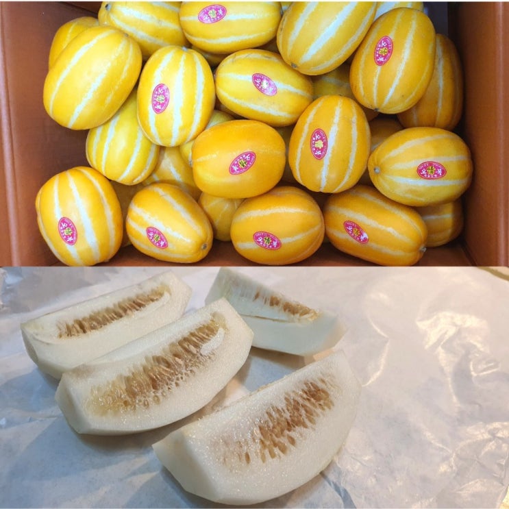 많이 찾는 칠곡 벌꿀참외 5kg 10kg 꿀참외 고당도 맛있는참외 못난이아님 추천합니다 많이 찾는 칠곡 벌꿀참외 5kg 10kg 꿀참외 고당도 맛있는참외 못난이아님 추천합니다