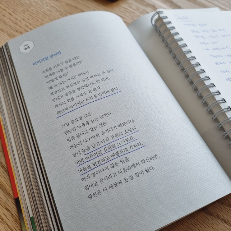  Day63 - 뜨겁게 나를 응원한다
