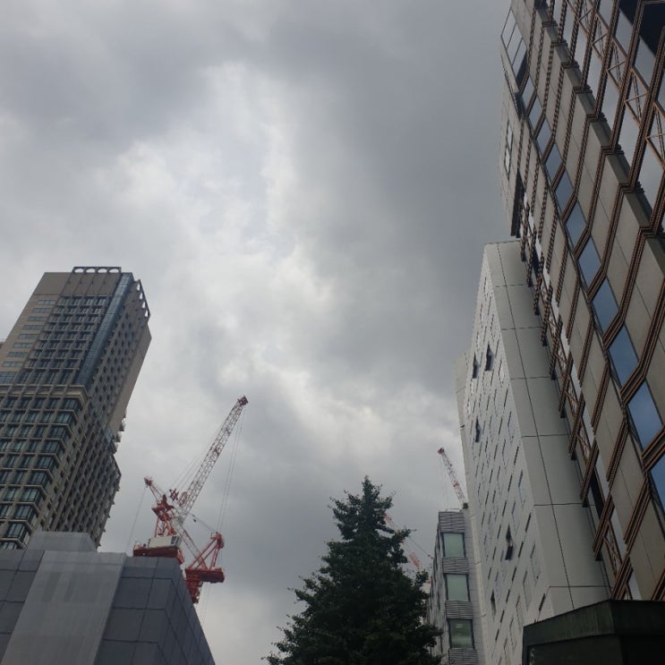  210602 꾸물꾸물 흐린 하늘