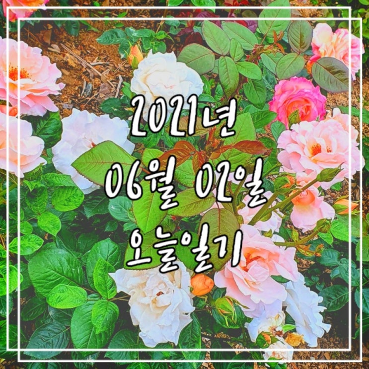 2021년 6월 2일