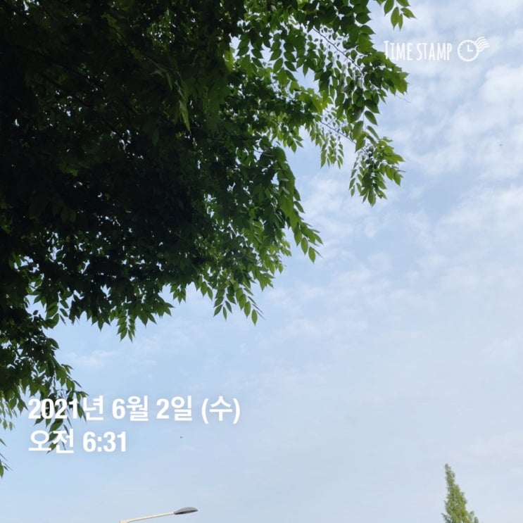  #오늘일기 _ 6월 2일