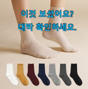  알고보니 더좋은 여성 양말 아이템목록 이건 사야합니다