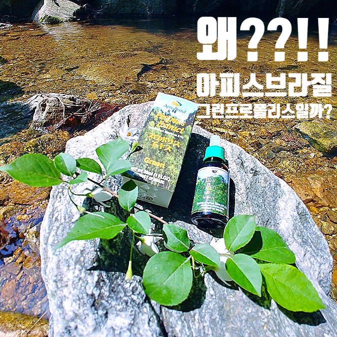 브라운프로폴리스 안녕~~ 이제는 아피스브라질그린프로폴리스 브라운프로폴리스 안녕~~ 이제는 아피스브라질그린프로폴리스