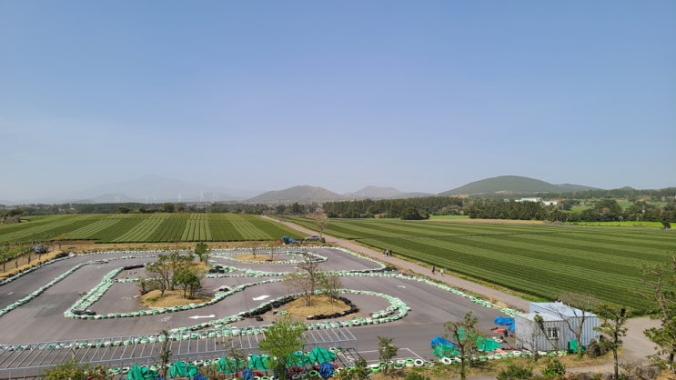  제주 녹차밭 오설록 말고 성읍녹차마을 오늘은녹차한잔