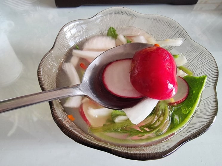 방울무 적환무 래디시 효능 보관방법 먹는법 물김치 샐러드