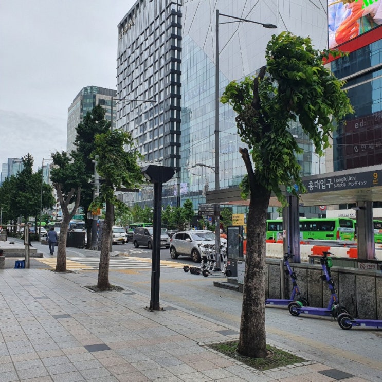  오랜만에 온 홍대 거리