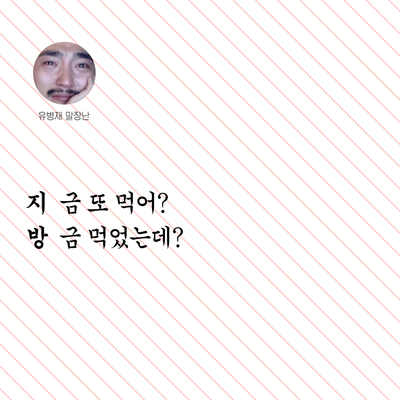  유병재 말장난_ 코미디언 작가 방송인 크리에이터 직업에 몇 개야