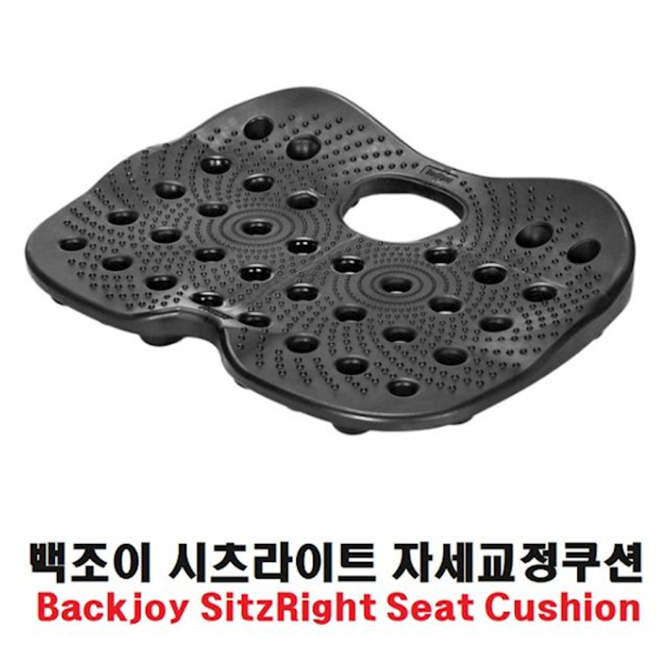 인지도 있는 co 백조이 시츠라이트 바른자세쿠션 방석 쿠션, 1개 좋아요 인지도 있는 co 백조이 시츠라이트 바른자세쿠션 방석 쿠션, 1개 좋아요