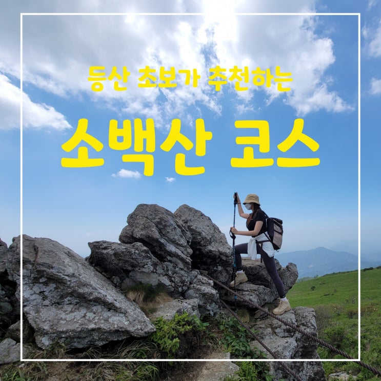 한국 100대 명산  소백산, 비로봉까지 철쭉을볼수있는 최단 등산코스