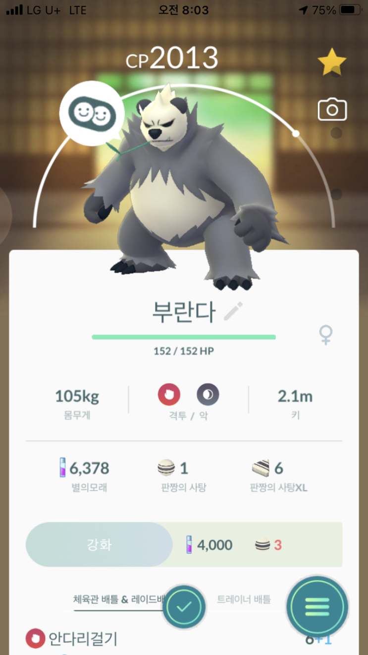  판짱, 부란다