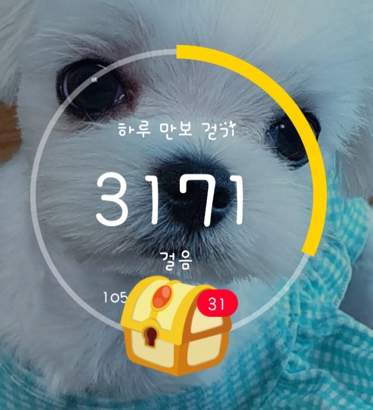  하루의 시작