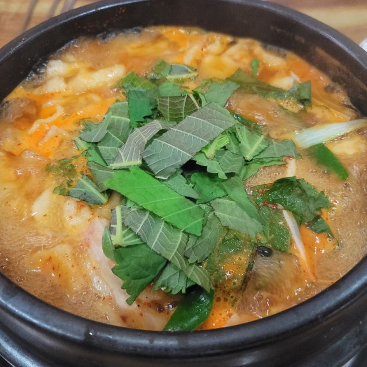  [고향마을] 충남 천안 신방동 닭수제비 맛집  feat 내돈내산후기