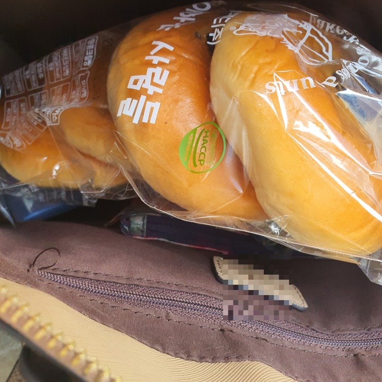  [일상]왓츠 인마이백 ^_^ ?