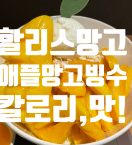  *할리스커피 빙수! 애플망고빙수 1인 2인 등장 칼로리 맛후기*