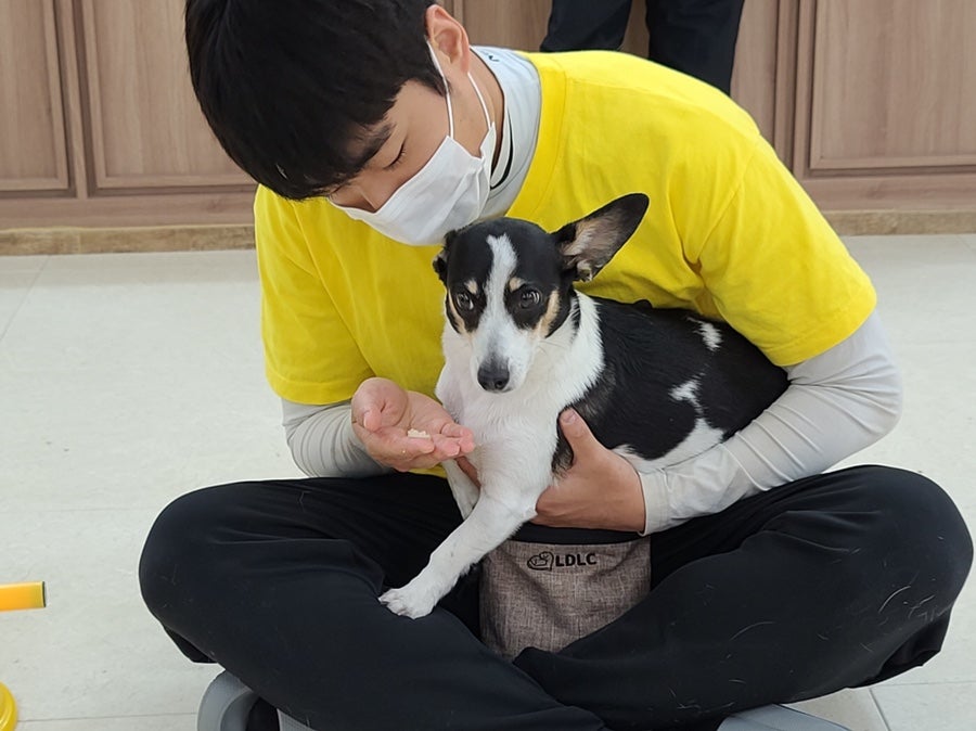 위드티쳐 사진 6