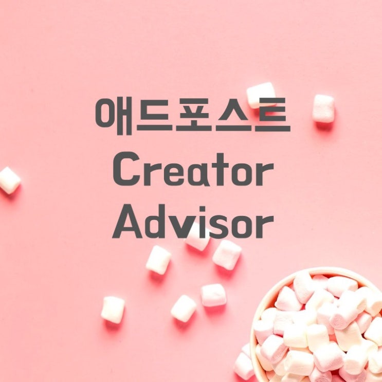  블로그 운영 6개월 후기(애드포스트 수익, 세금, 통계 분석 Creator Advisor)