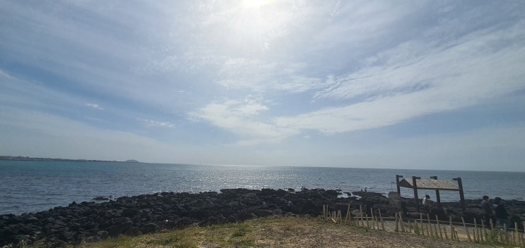  2021년 5월 6일 제주도 여행