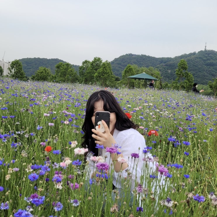  210603 열네번째 오늘일기
