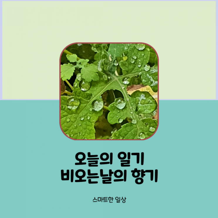  걷기챌린지 3일째