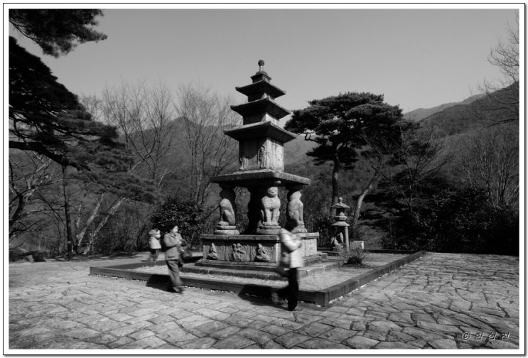  전남 구례 지리산 화엄사
