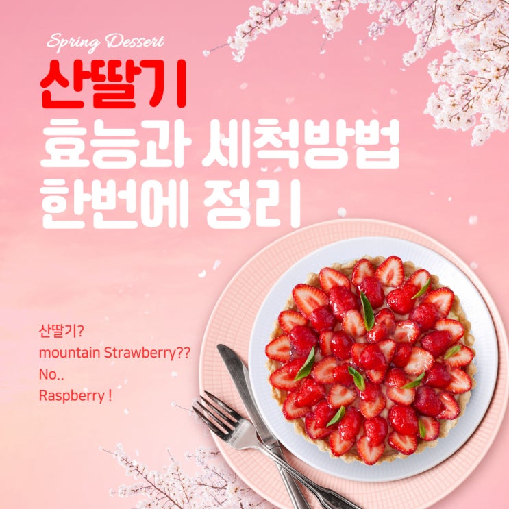  산딸기 효능과 세척방법 한번에 정리