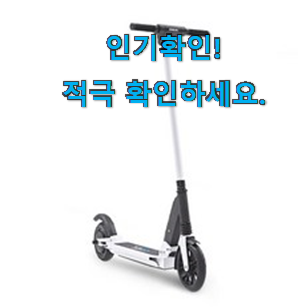  최고의 롤리고고 전동킥보드 추천 list 조만간 지름신 강림할듯 ㅋㅋ