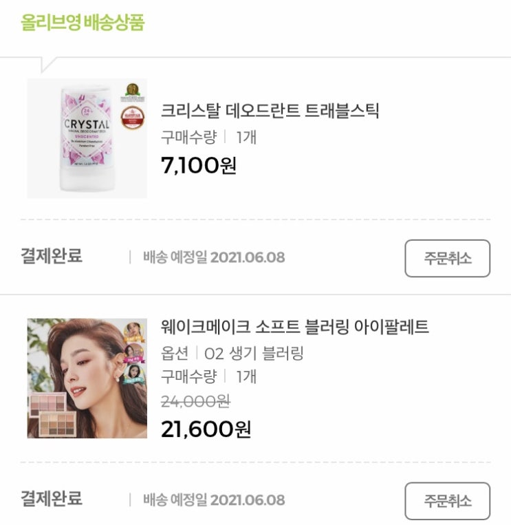  [6/3 오늘일기] 여름맞이 소비