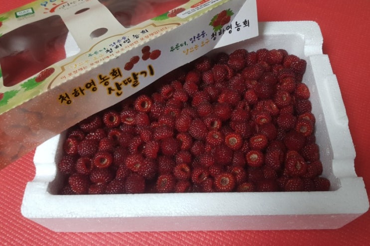  포항 청하 산딸기 드셔 보셨나요?