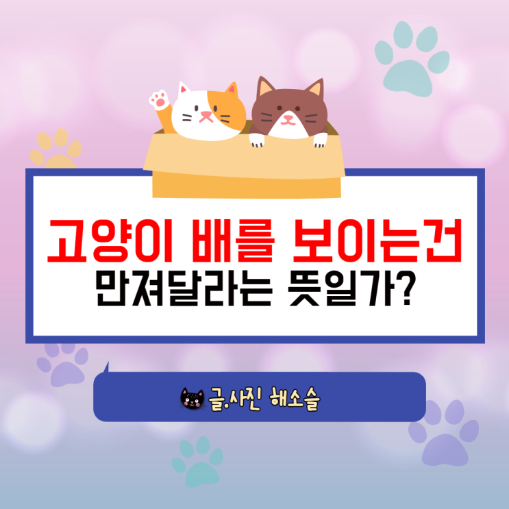  고양이 배를 보이며 누워있으면 만져달라는 뜻인가요?