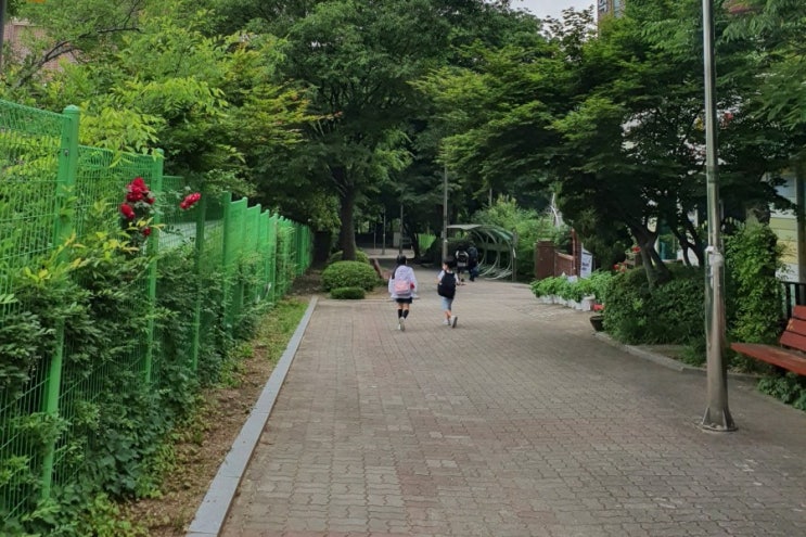  블챌 오늘일기_6월 3일
