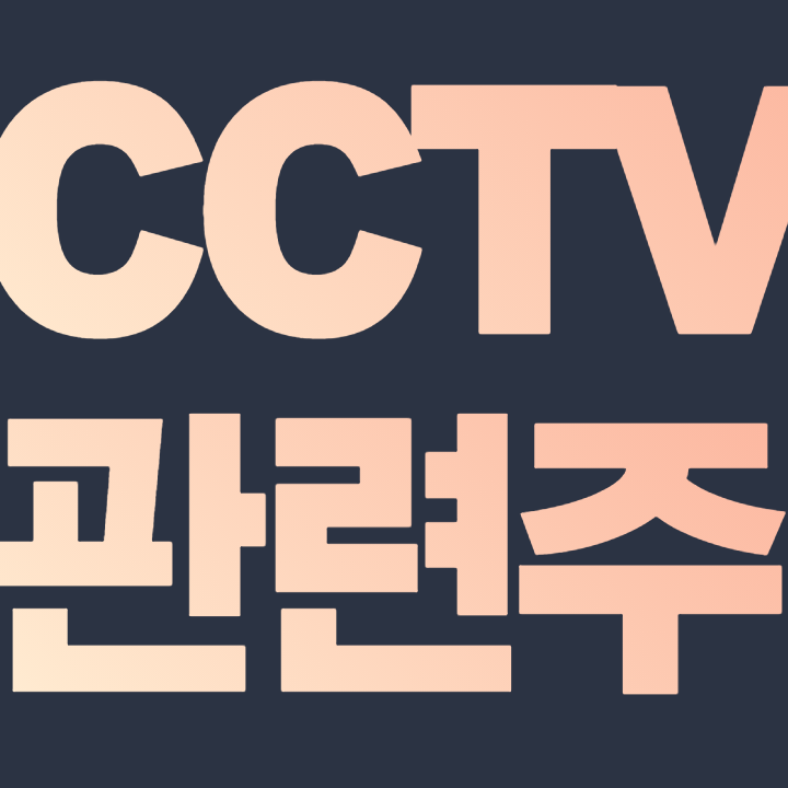  CCTV 관련주
