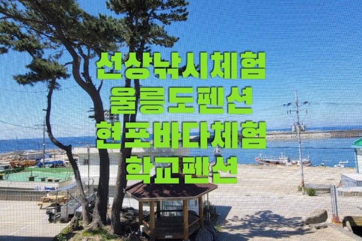  울릉도 펜션 현포바다체험학교펜션에서 선상낚시로 참돔잡기