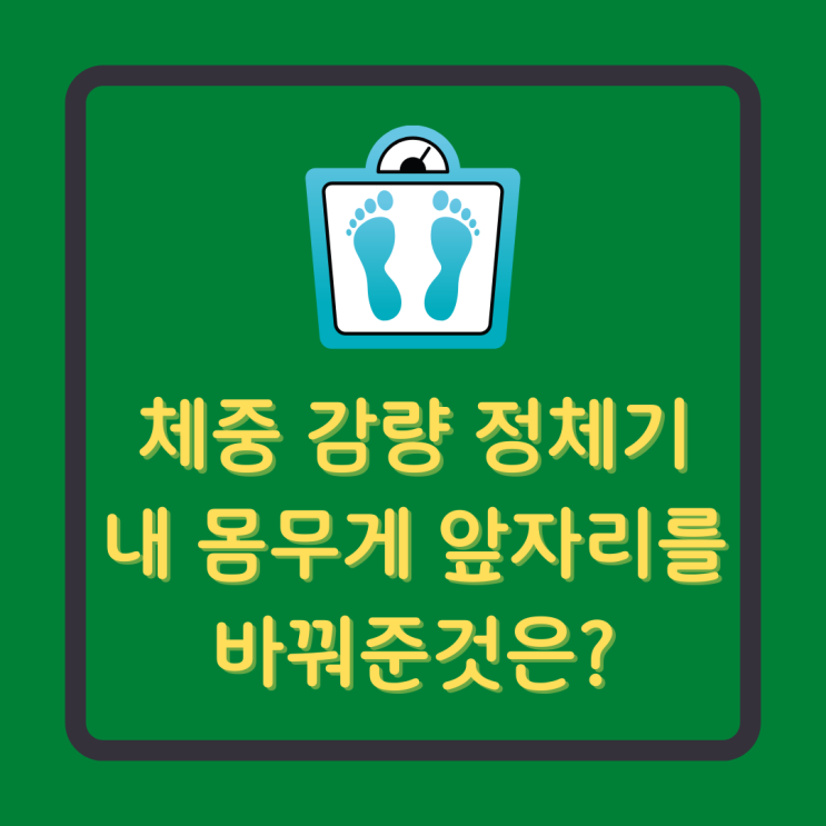  검정콩 청자5호 덕분에 드뎌 몸무게 앞자리가 바뀌었다!