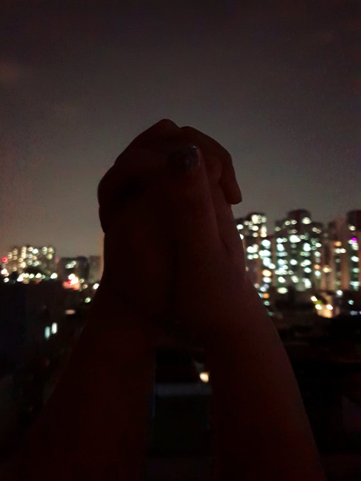  2021년 6월 3일 오늘일기 - 괜찮다.