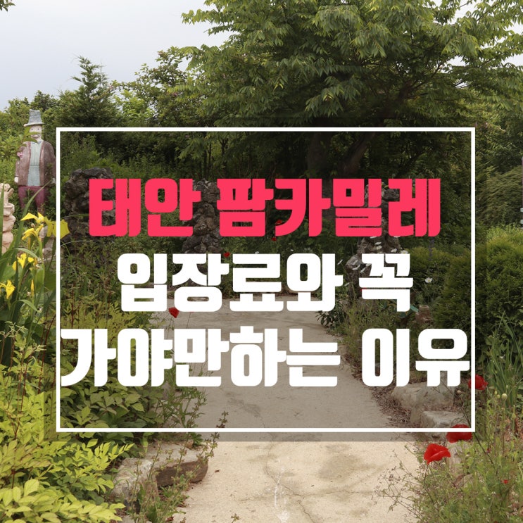  태안 팜카밀레 꼭 가봐야 하는 이유