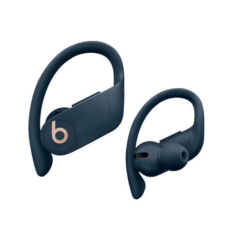 인기있는 Apple Powerbeats Pro 이어폰, 네이비, MV702ZP/A 추천해요