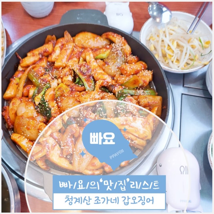  조가네갑오징어 청계산점 / 청계산 맛집 / 청계 맛집 추천