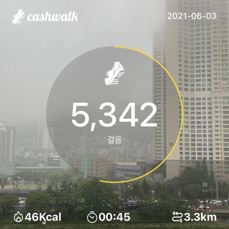  06.03) 45분