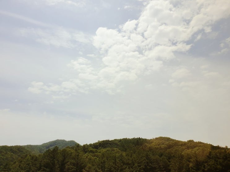  블린이의 아둥바둥 이야기.