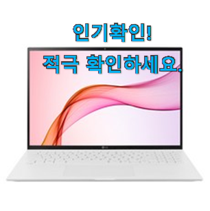  후기로대박난 lg 그램 추천상품목록 강추에요!