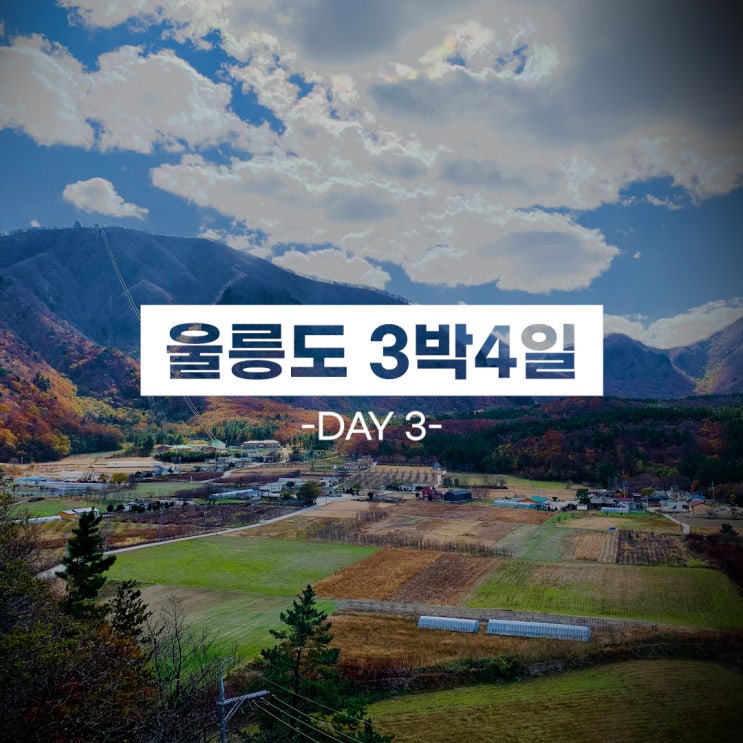  울릉도 뚜벅이 여행 3박 4일-DAY 3(나리분지/늘푸른산장식당/관음도/독도케이블카/가고싶은집)