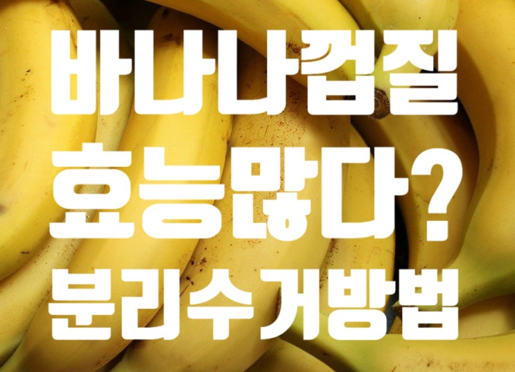  바나나 껍질 효능있다? 바나나껍질 차 비료 활용법 음식물 껍질류 분리수거 분리방법