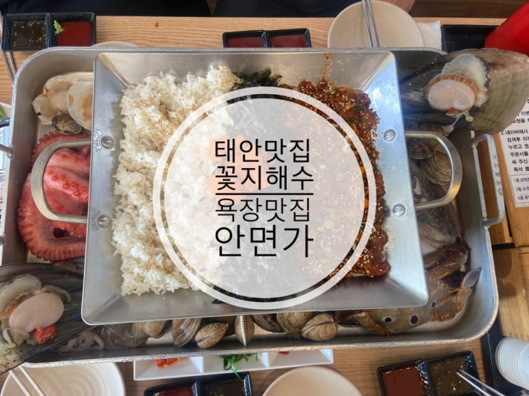 진짜 역대급 비주얼의 용궁철판! 태안 맛집 꽃지 해수욕장 맛집 안면가