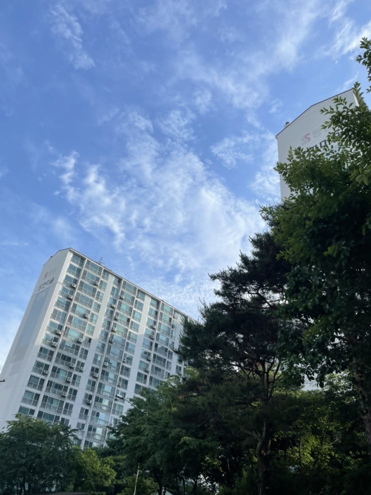  20210603기록
