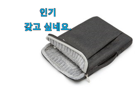 가성비 노트북파우치 상품 요즘 이거 없이는 못살겠어요 진심