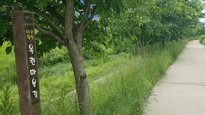  서울 구로 부천 옥길 범박 소풍 나들이 가볼만한 걷기좋은곳: 옥련마을길