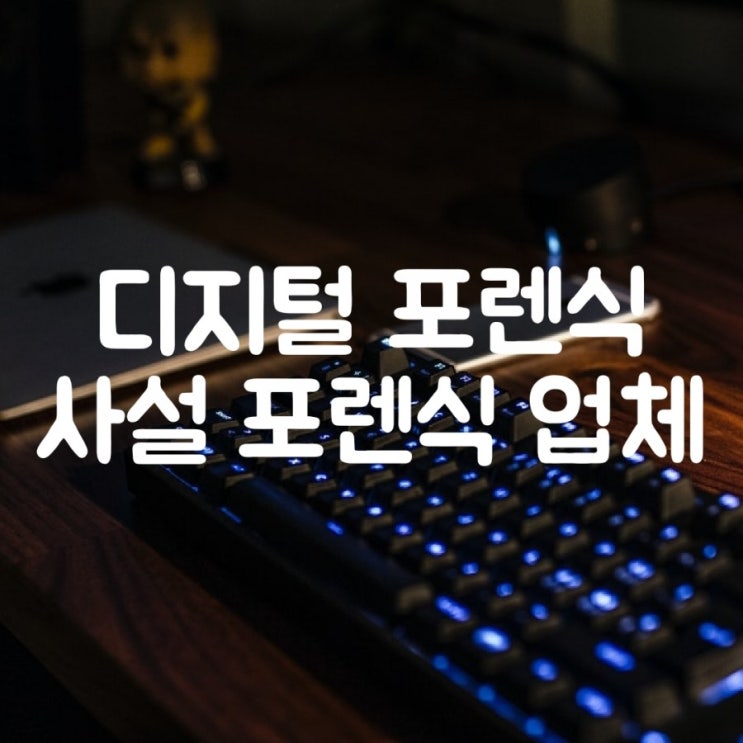  핸드폰 디지털 포렌식, 사설포렌식업체