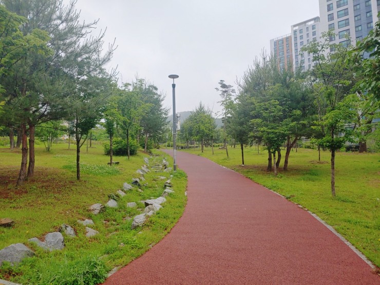  [블챌일기] 비가 종일 주룩주룩
