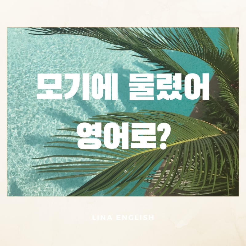 모기에 물리다 영어로? 여름철 유용한 영어 표현 : 네이버 블로그