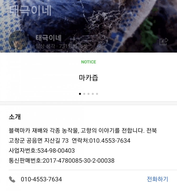 태극이네 태극이네